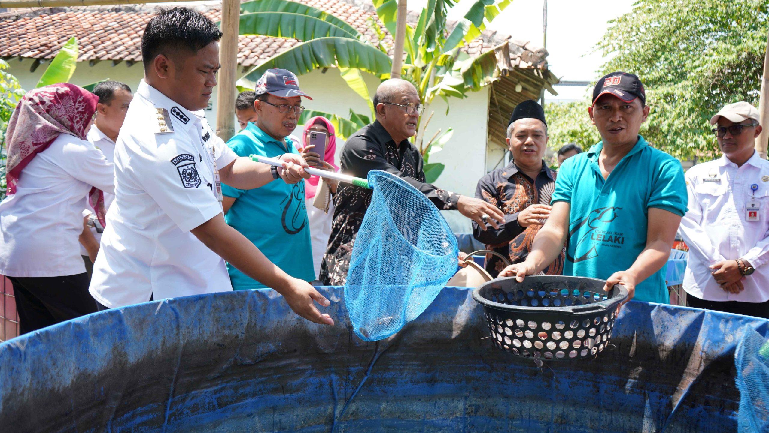 Pertanian pria, peluang bisnis yang menjanjikan - sekretaris lokal