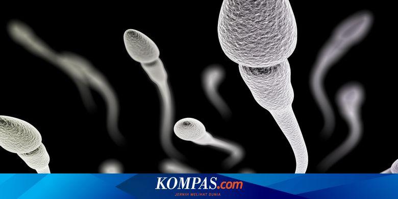 Di Eropa, donor sperma dengan gen penyebab kanker menjadi ayah dari 197 anak, ba...